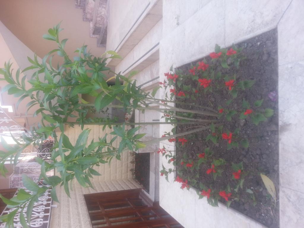 Lanova Hotel Kemer Kültér fotó